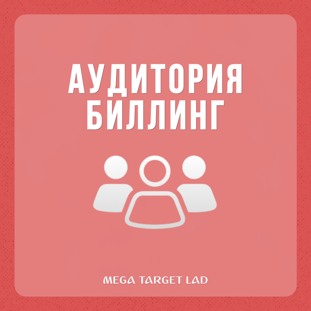 Аудитория. Биллинг